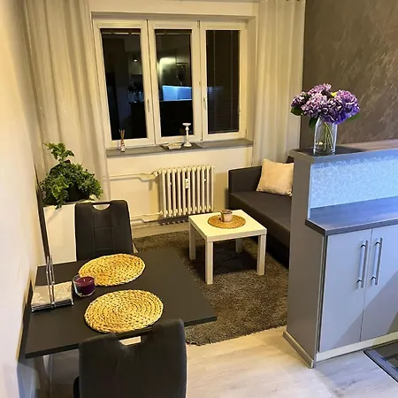 Apartment Luxusni V Blizkosti Centra Mesta,wifi, Netxlix Hradec Kralove