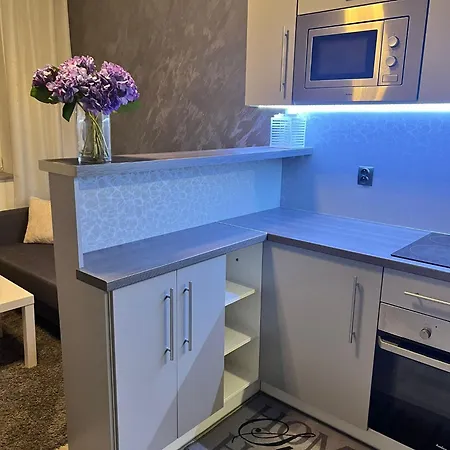 Luxusni V Blizkosti Centra Mesta Appartement *