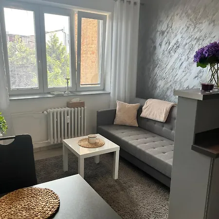 Luxusni V Blizkosti Centra Mesta,wifi, Netxlix Apartment *