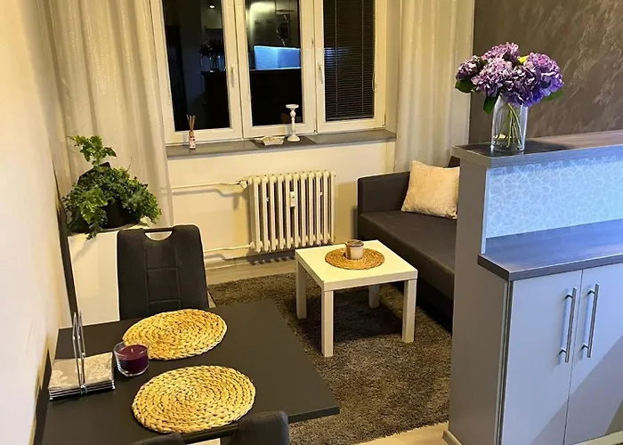 アパート Luxusni V Blizkosti Centra Mesta,wifi, Netxlix Hradec Králové