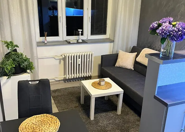 Luxusni V Blizkosti Centra Mesta,wifi, Netxlix アパート Hradec Králové