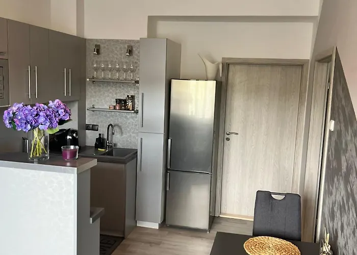 Luxusni V Blizkosti Centra Mesta,wifi, Netxlix アパート Hradec Králové